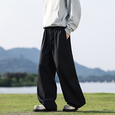 新款宽松休闲裤韩版潮流百搭裤子坠感阔腿简约风K02550-P55，男装休闲裤，星座308B-2