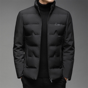 2023年新款羽绒服P245图片