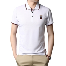 夏季新款男士翻领短袖t恤中年有领男装上衣服休闲POLO衫，男装T恤，电商B212（原钱塘6029）