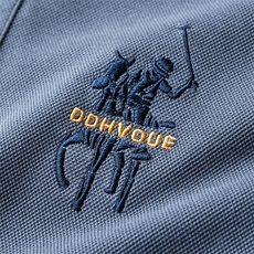 刺绣长袖t恤男新款2024年春秋季商务休闲衣服纯棉宽松翻领polo衫，男装T恤，钱塘6003A(原)4033A