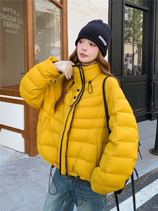 现货 90时尚羽绒服2C259-9996-P295-K438图片
