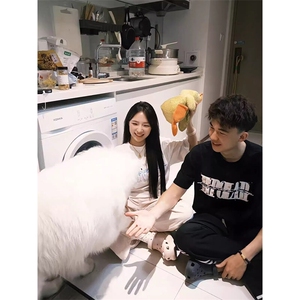 万针全刺绣工艺抖音得物高品质260克重磅纯棉双纱美式高街短袖T恤图片