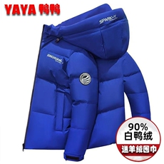 现货外贸侧飞图立领光板团体服班服宽松韩版情侣学生外套羽绒服，男装羽绒服，星座301D-5(原星座1415）