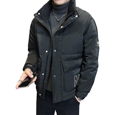 2025冬季店主风高品质标85白鸭绒休闲印花羽绒服男23893-P260，男装羽绒服，电商A413