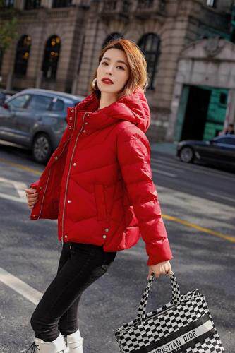 现货冬装新款棉衣，女装棉衣/棉服，琪轩蔓莎