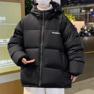 83025-P198控298港风连帽羽绒服男款简约设计感外套户外防寒保暖图片