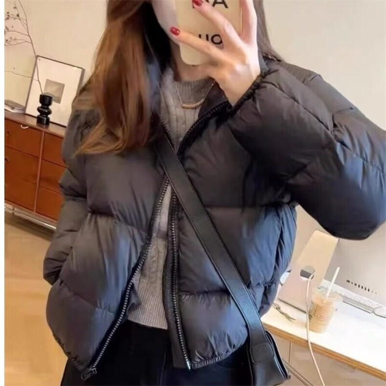 黑色立领短款羽绒棉服女冬季大码韩系高级百搭加厚面包服外套,男装棉衣,星座506A
