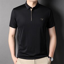 短袖T恤男2023夏季新款百搭T恤中青年男士翻领休闲POLO打底衫上衣，男装T恤，电商B212（原钱塘6029）