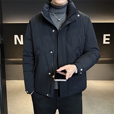 标50绒店主风2025新款立领短款羽绒服外套8302-P185(控券后278)，男装羽绒服，电商B328