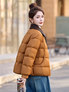 时尚短款羽绒服女2025年冬季新款气质小香风时尚翻领冬装保暖外套图片