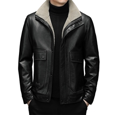 冬季中青年男立领皮羽绒服爸爸装加厚棉衣保暖外套DFLDY8009-P295，男装羽绒服，电商B212（原钱塘6029）