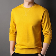 F81092基础纯棉精品中青年男士时尚休闲简约秋装薄款圆领卫衣，男装卫衣，钱塘207-1