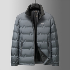 秋冬季立领羽绒服男士白鸭绒短款商务休闲户外保暖高级感外套男，男装羽绒服，钱塘6003（原4033）
