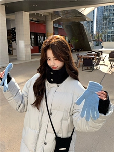 2025冬装新款简约时尚羽绒服B001-M219-P295控428图片