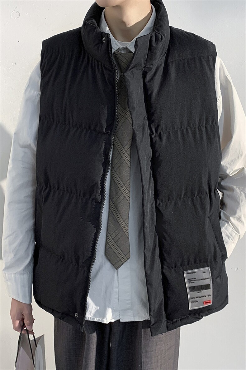 2025冬新立领休闲大码光影白墙保暖外套男贴标加厚棉马甲M726-P50,男装棉衣,电商A001
