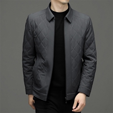 DZ18377钱塘2020-3中年男士商务休闲简约翻领冬季厚款夹克P160，男装夹克，钱塘207-3