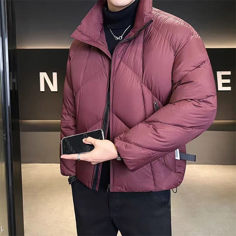 (网图)90白鸭绒196-234克泡芙云朵羽绒服休闲313B-2728-P310,男装羽绒服,星座313B