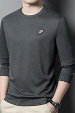 BB3605钱塘2020-2秋季新款休闲卫衣男士圆领纯色棉质长袖T恤P42，男装卫衣，钱塘207-2