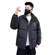 秋冬立领潮牌条纹羽绒服御寒轻薄保暖韩版青年防寒短款外套男装，男装羽绒服，钱塘6003（原4033）