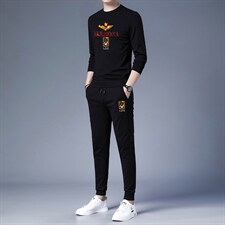 印花套装男春秋季宽松加绒长袖圆领卫衣高端中年男士休闲两件套，男装休闲套装，电商B212（原钱塘6029）