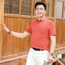 夏季保罗POLO衫男士短袖T恤纯棉休闲翻领宽松半袖中年男装体恤衫，男装Polo衫，电商B212（原钱塘6029）