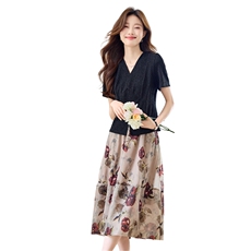 时尚V领上衣印花半身裙套装女2025夏季新款高级感短袖裙子两件套，女装套装/套裙，简韵佳