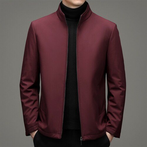 冬季棉衣男外套立领中青年保暖棉服爸爸冬装外套DFLDM16002-P185,男装棉衣,电商B212（原钱塘6029）