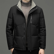 CAH9103钱塘2020-2冬季厚款商务休闲简约立领中年男士羽绒服P230，男装羽绒服，钱塘207-2