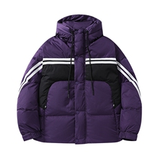 2024新标90羽绒服重磅连帽保暖潮外套A436-0225-P218控价298，男装羽绒服，电商A436