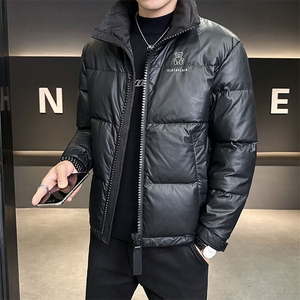 羽绒服男2024新款立领小熊刺绣羽绒皮外套 B240-YR18916-P175图片