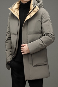 冬季新款中青年羽绒服爸爸装加厚棉衣保暖外套DFLDY10003-P300图片
