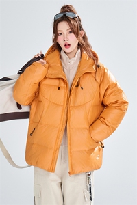 标90绒现货(有报告）情侣同款羽绒服C323-1-YR8921-P240图片