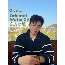 网络图现货复古日毛系衣慵懒风bf软糯套头拉链针织衫J5007-P46，男装针织衫/毛衣，星座715-7