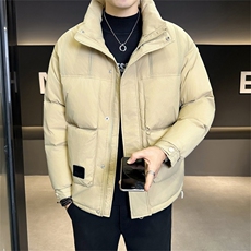 标90白鸭绒店主风轻奢高级感立领羽绒服外套男X8608-P300，男装羽绒服，电商A413