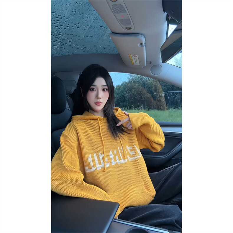 现货连帽卫衣男女春秋新款毛衣时尚洋气针织衫上衣情侣帽衫,男装针织衫/毛衣,星座302B