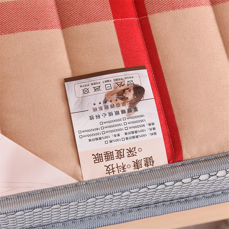 2022新款印花磨毛加厚印花床垫磨毛立体英伦风,床垫褥子磨毛床垫,亿丁点床垫