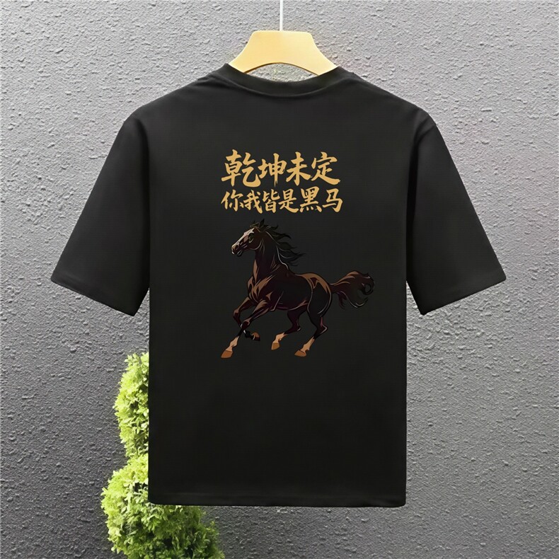 1506A/GL4190/P32马到中高考穿的衣服装班服T恤1图片