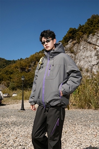 311B-1-YZ-9233-P195控339大码潮牌提花情侣百搭立领羽绒服图片