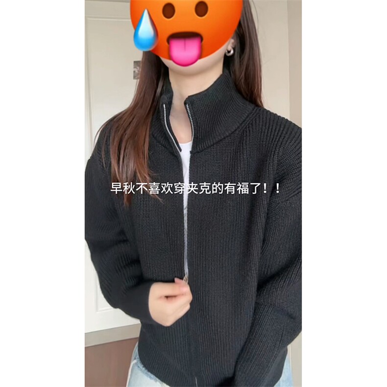 重磅秋冬北极绒双拉链毛衣开衫美式复古休闲慵懒风宽松针织衫外套,男装针织衫/毛衣,电商A486