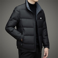 BHYL9201钱塘2020-2中年男士冬季厚款商务休闲简约羽绒服P250，男装羽绒服，钱塘207-2