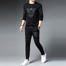男士秋季新款长袖T恤中青年时尚运动套装潮流印花两件套男装，男装休闲套装，电商B212（原钱塘6029）
