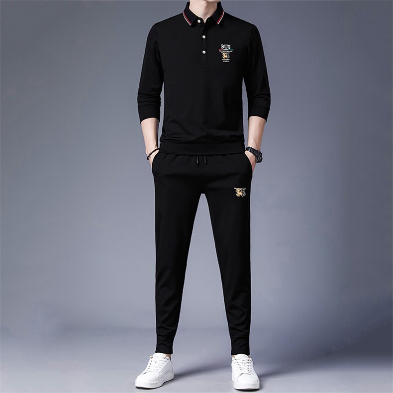 套装男翻领薄款t恤春秋季2023新款商务休闲中年长袖长裤两件套，男装休闲套装，电商B212（原钱塘6029）