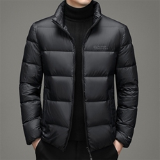 21冬季新款立领90白鸭绒羽绒服中年男士休闲百搭外套DD21715-P275，男装羽绒服，电商B212（原钱塘6029）