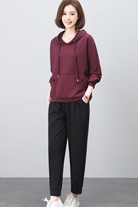 休闲运动套装女2025春装新款韩版时尚连帽洋气宽松显瘦卫衣两件套图片