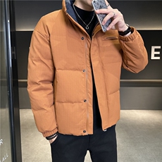 冬季新款立领白鸭绒加厚韩版抗寒防风羽绒服外套上衣男YR128P170，男装羽绒服，电商B226-2（原B217-2）
