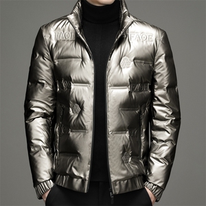BZL2163钱塘2020-2秋冬中年男士立领保暖羽绒服外套量大价优P205图片