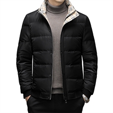 DF8818钱塘2020-2中年男士冬季厚款商务休闲简约羽绒服P245，男装羽绒服，钱塘207-2