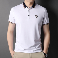 男士短袖t恤翻领冰丝潮牌潮流体恤商务休闲时尚半袖上衣服男装，男装T恤，电商B212（原钱塘6029）