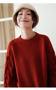 2025年秋季新款百搭女士三股绞花袖毛衣图片
