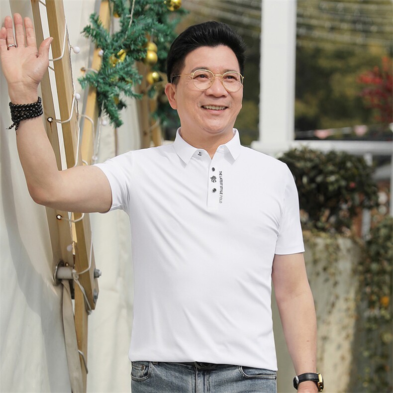 2023新款夏季新款大气polo衫男士带领短袖商务翻领T恤上衣保罗图片